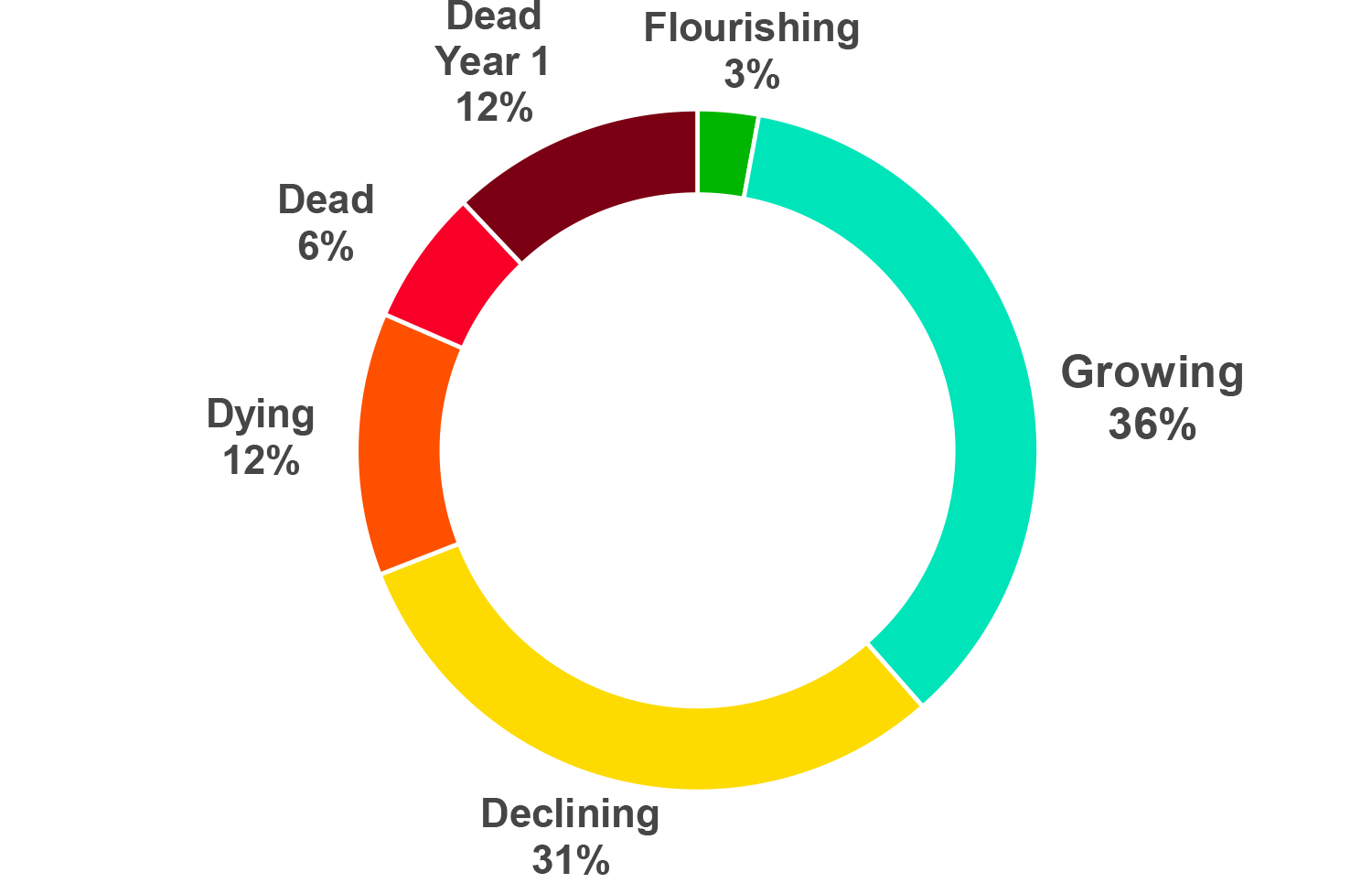 Chart 1: A donut chart showing survival rates for new product developments with only 3% flourishing while 12% die in Year 1.